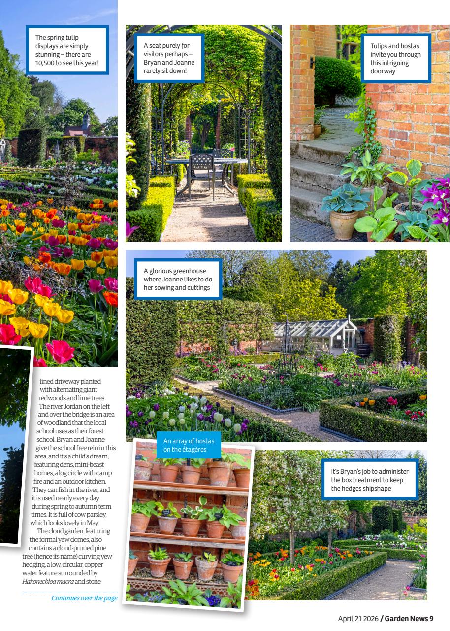 Garden News Preview Pages