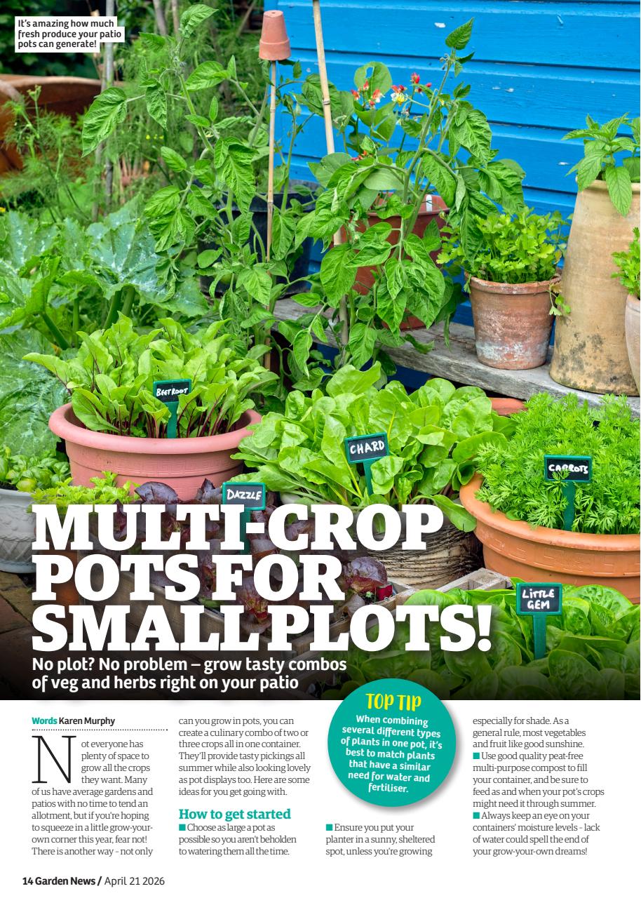 Garden News Preview Pages