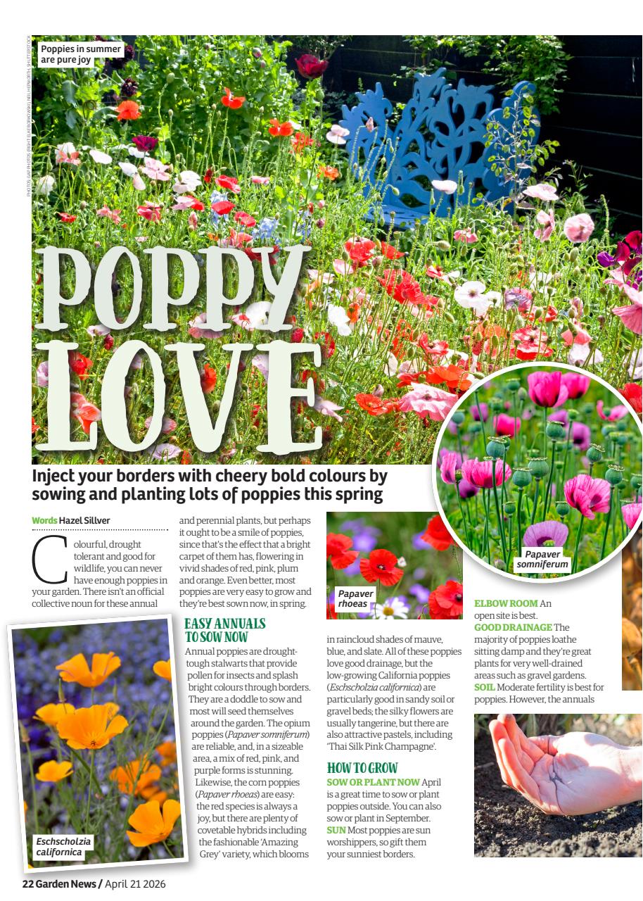 Garden News Preview Pages