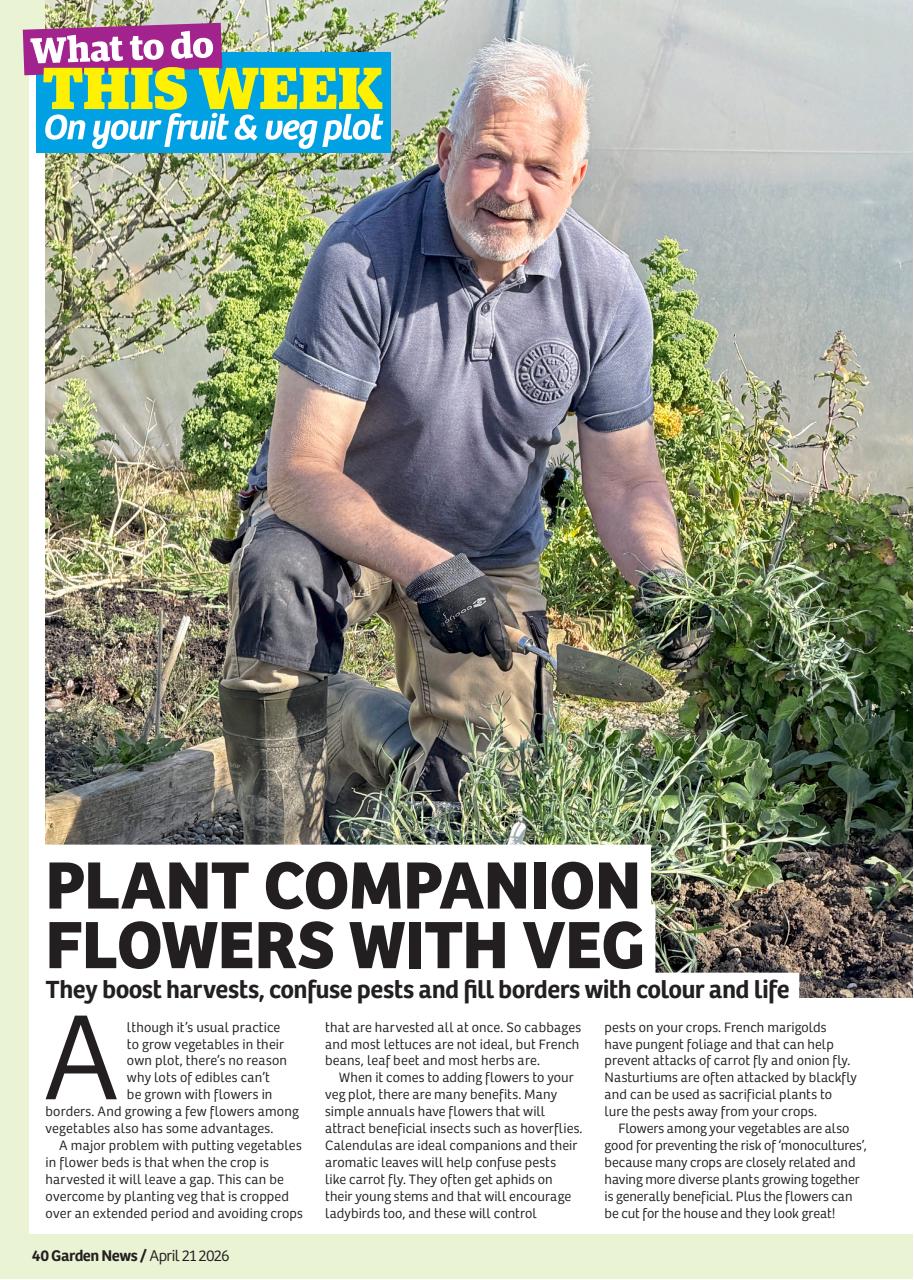 Garden News Preview Pages