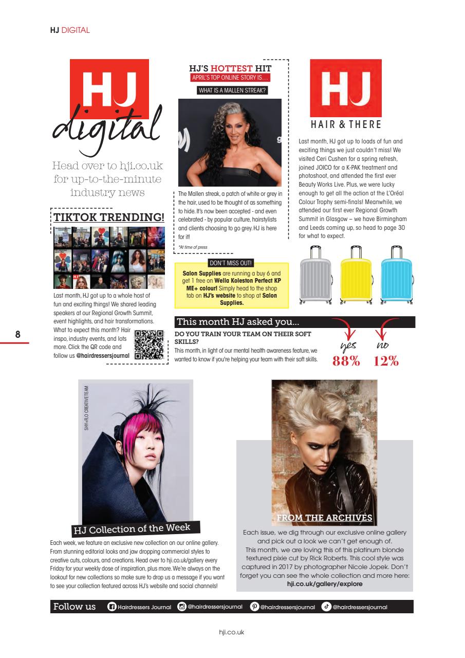 Hairdressers Journal Preview Pages