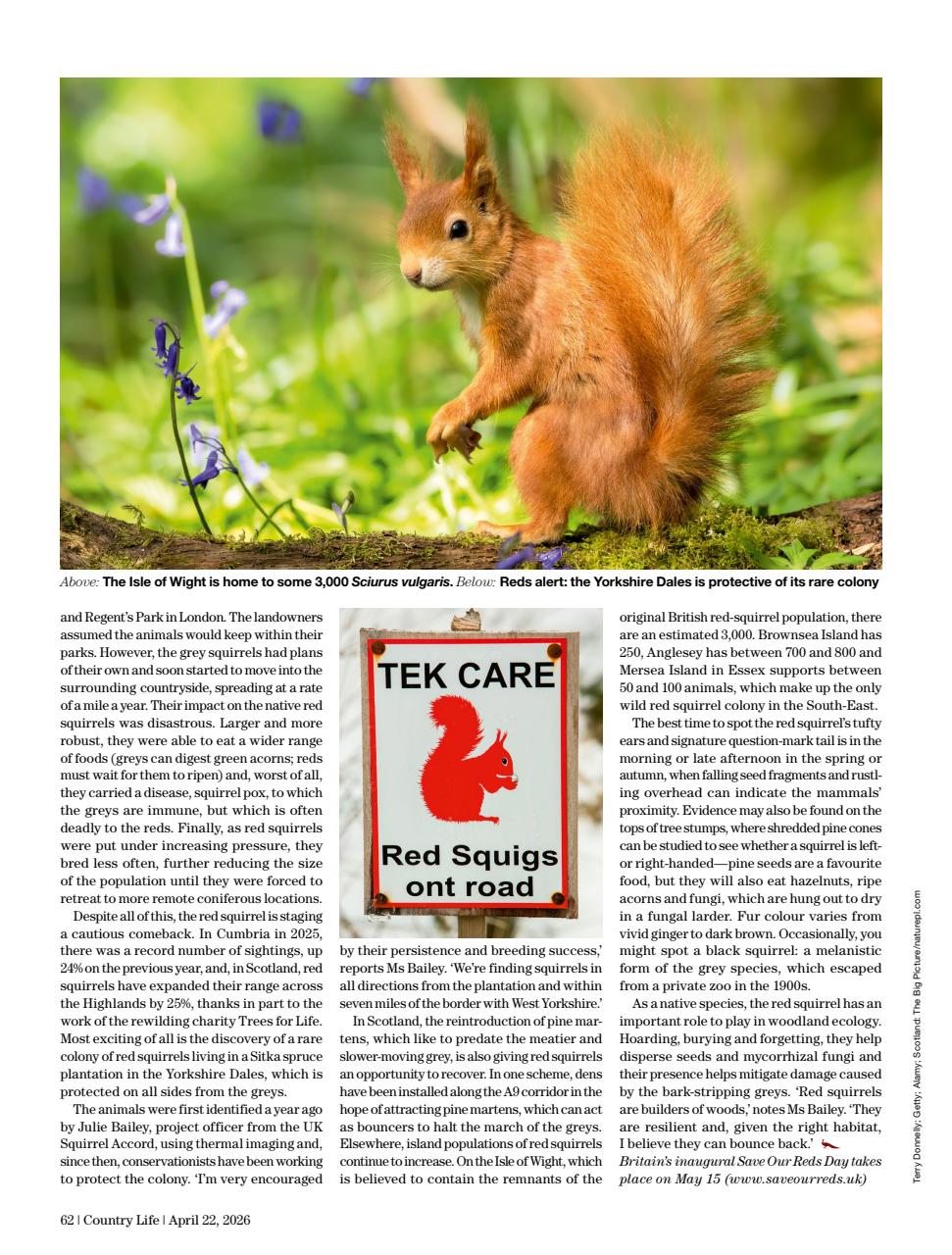 Country Life Preview Pages