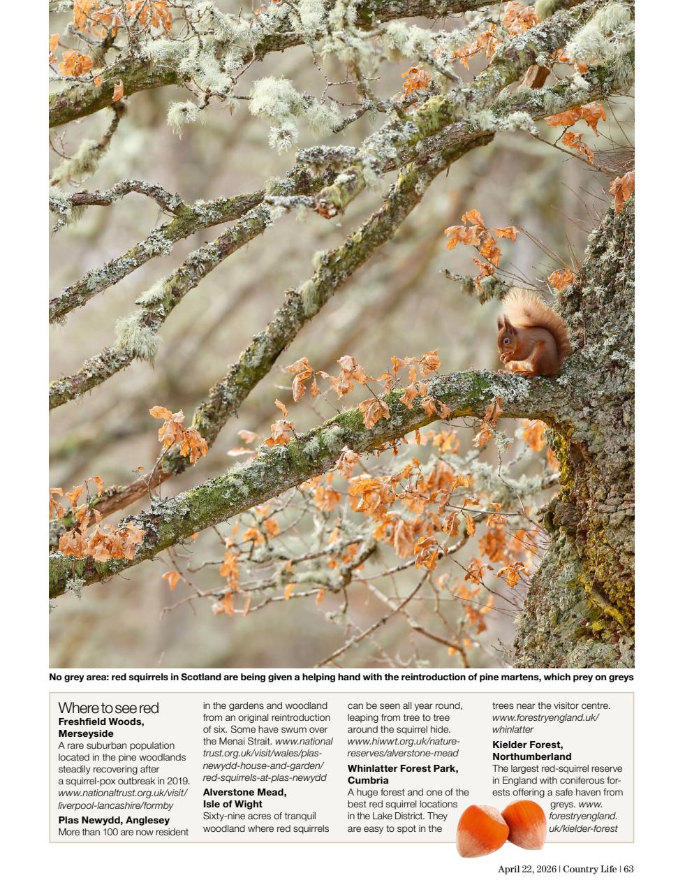 Country Life Preview Pages