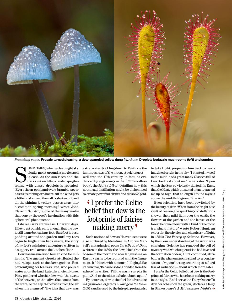 Country Life Preview Pages