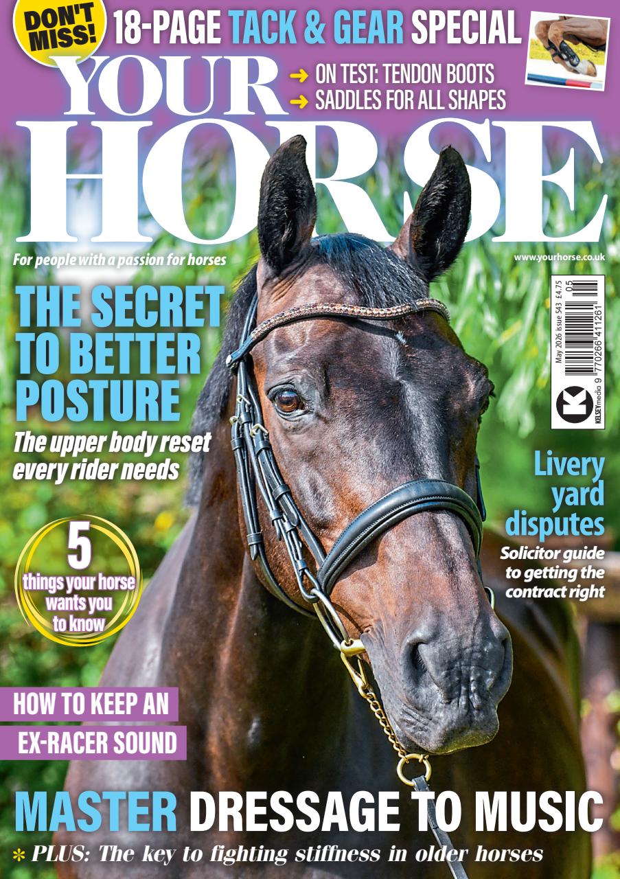 Your Horse Preview Pages