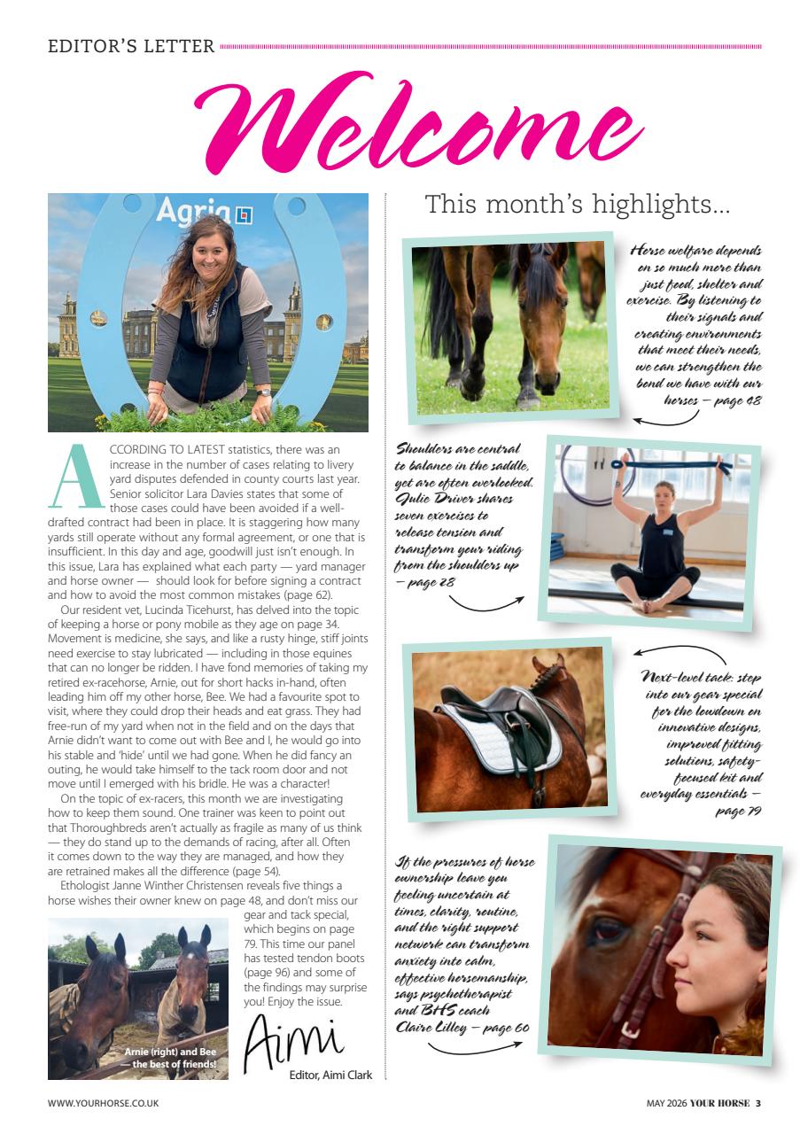 Your Horse Preview Pages