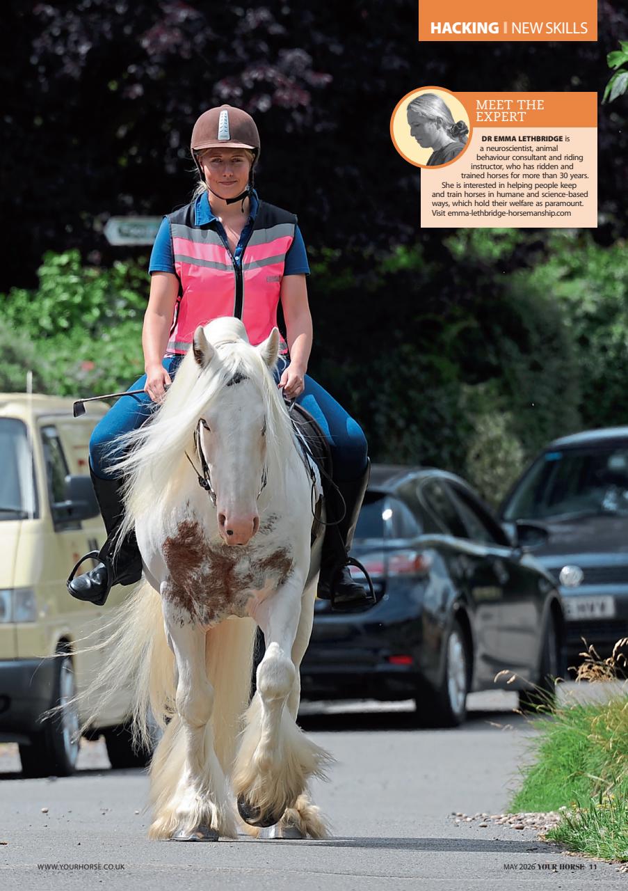 Your Horse Preview Pages