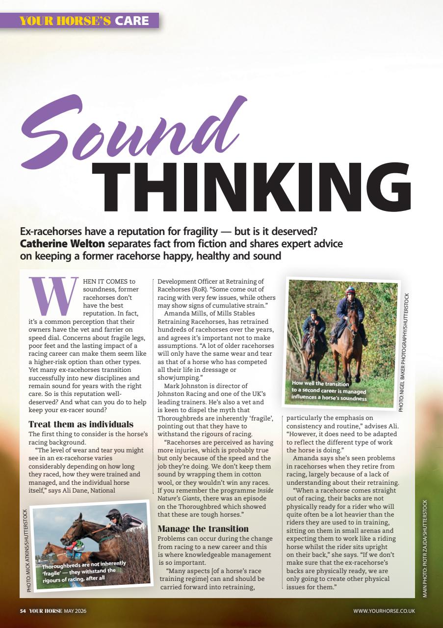 Your Horse Preview Pages