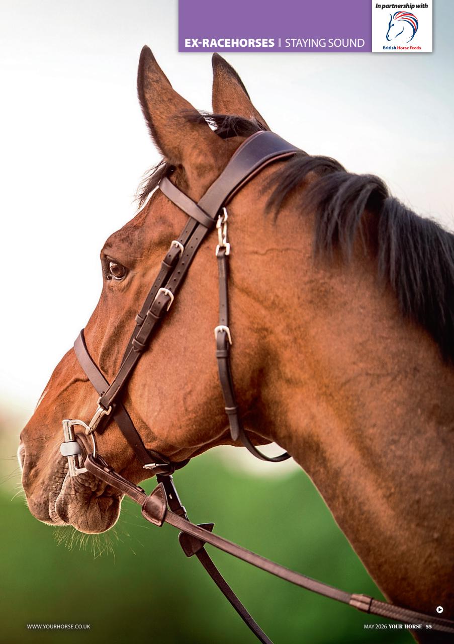 Your Horse Preview Pages