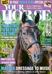 Your Horse Complete Your Collection Cover 1