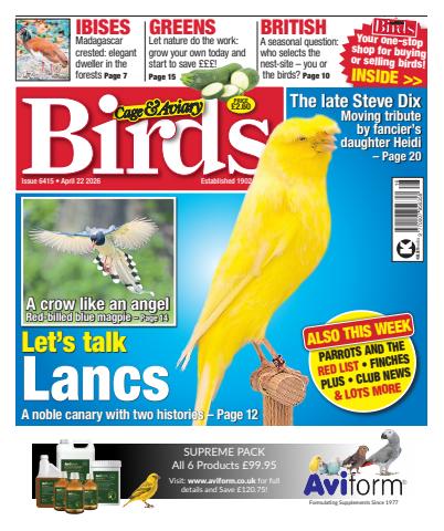 Cage & Aviary Birds issue 22nd April 2026