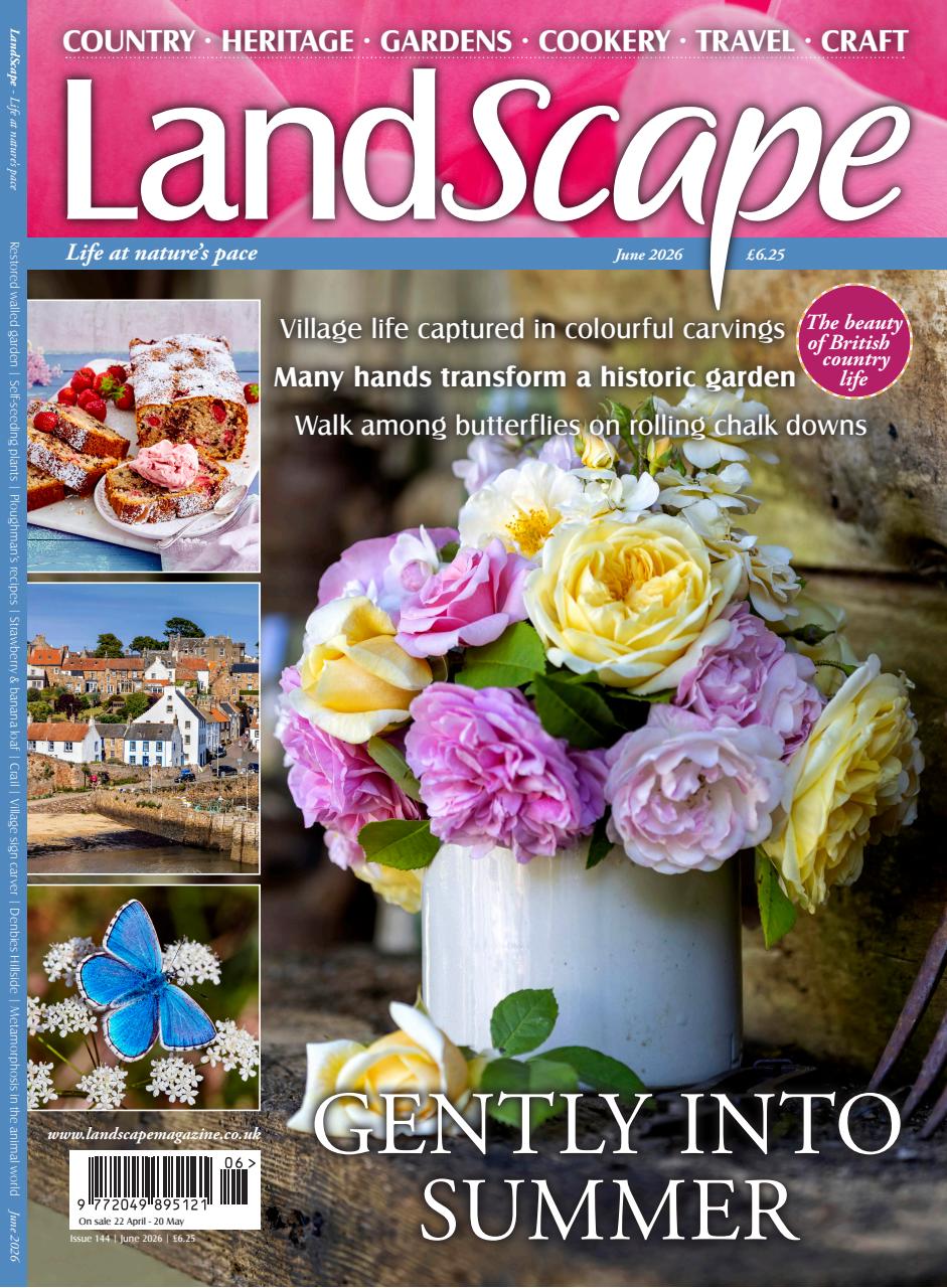 LandScape Preview Pages