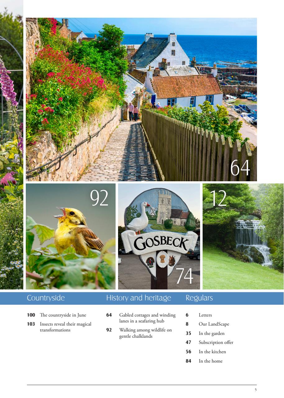 LandScape Preview Pages