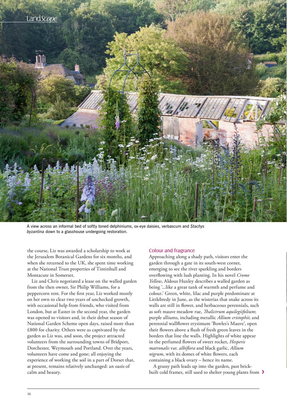 LandScape Preview Pages