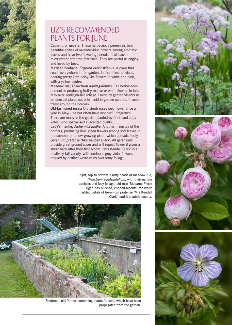 LandScape Preview Pages