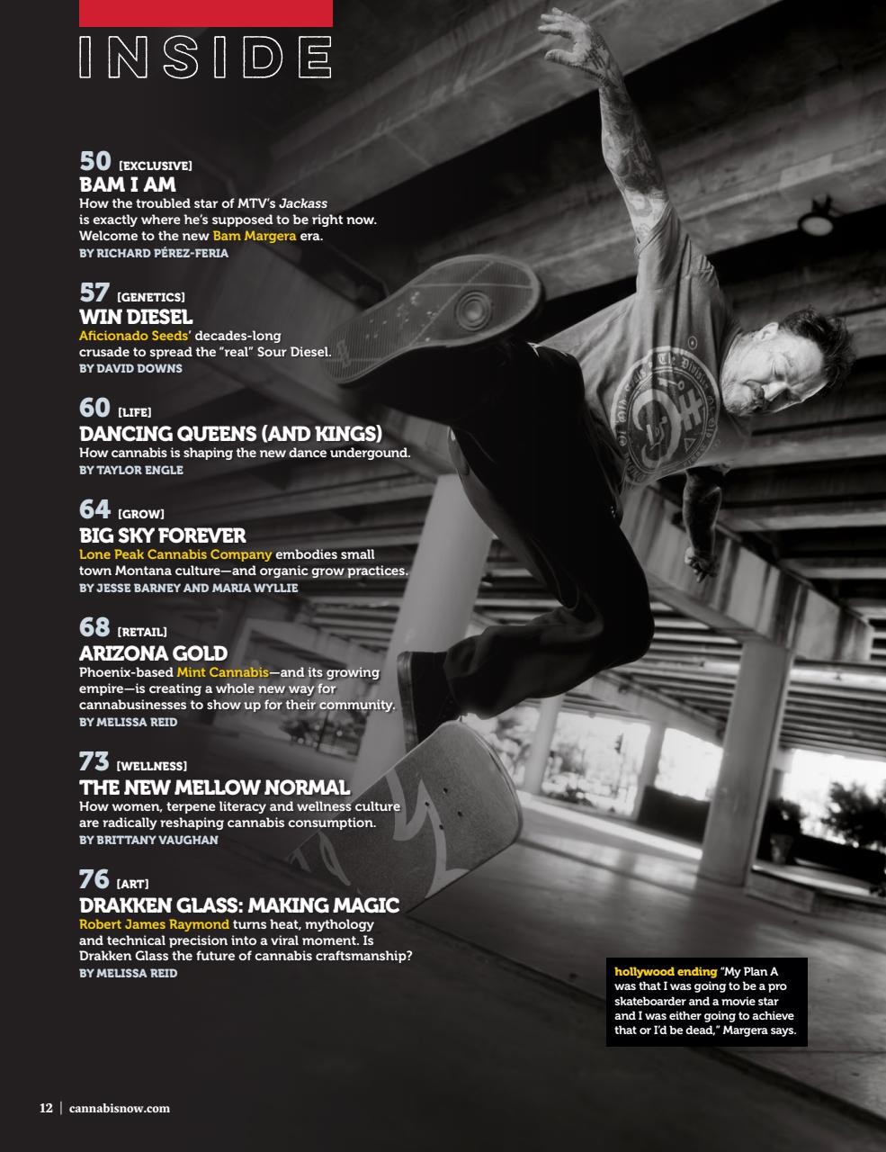 Cannabis Now Preview Pages