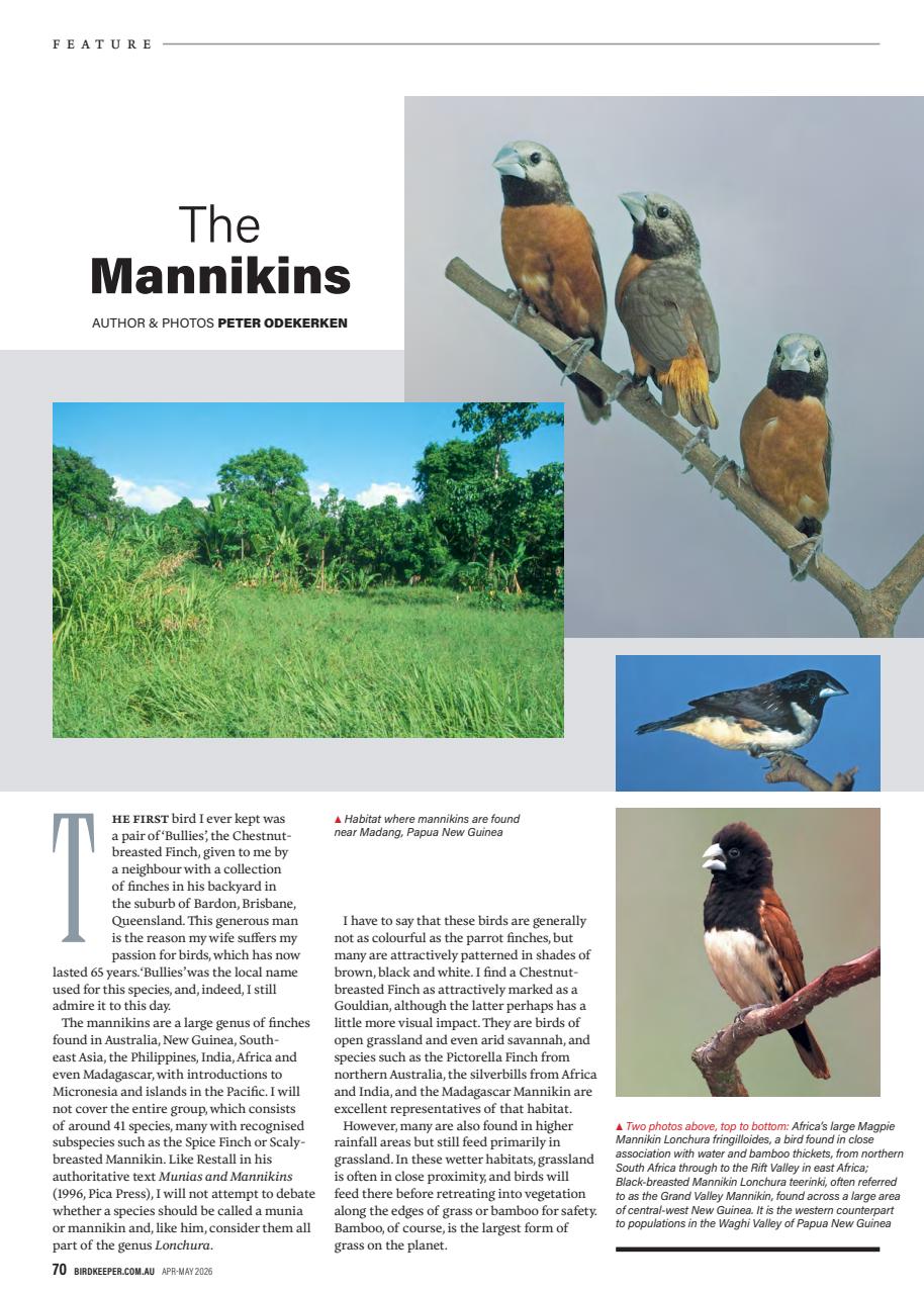Australian Birdkeeper Magazine Preview Pages
