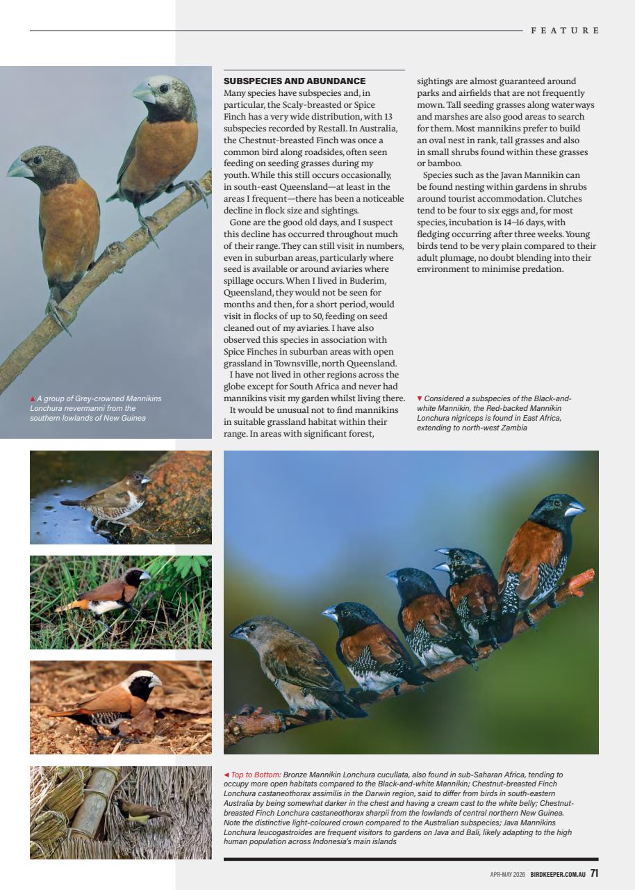 Australian Birdkeeper Magazine Preview Pages