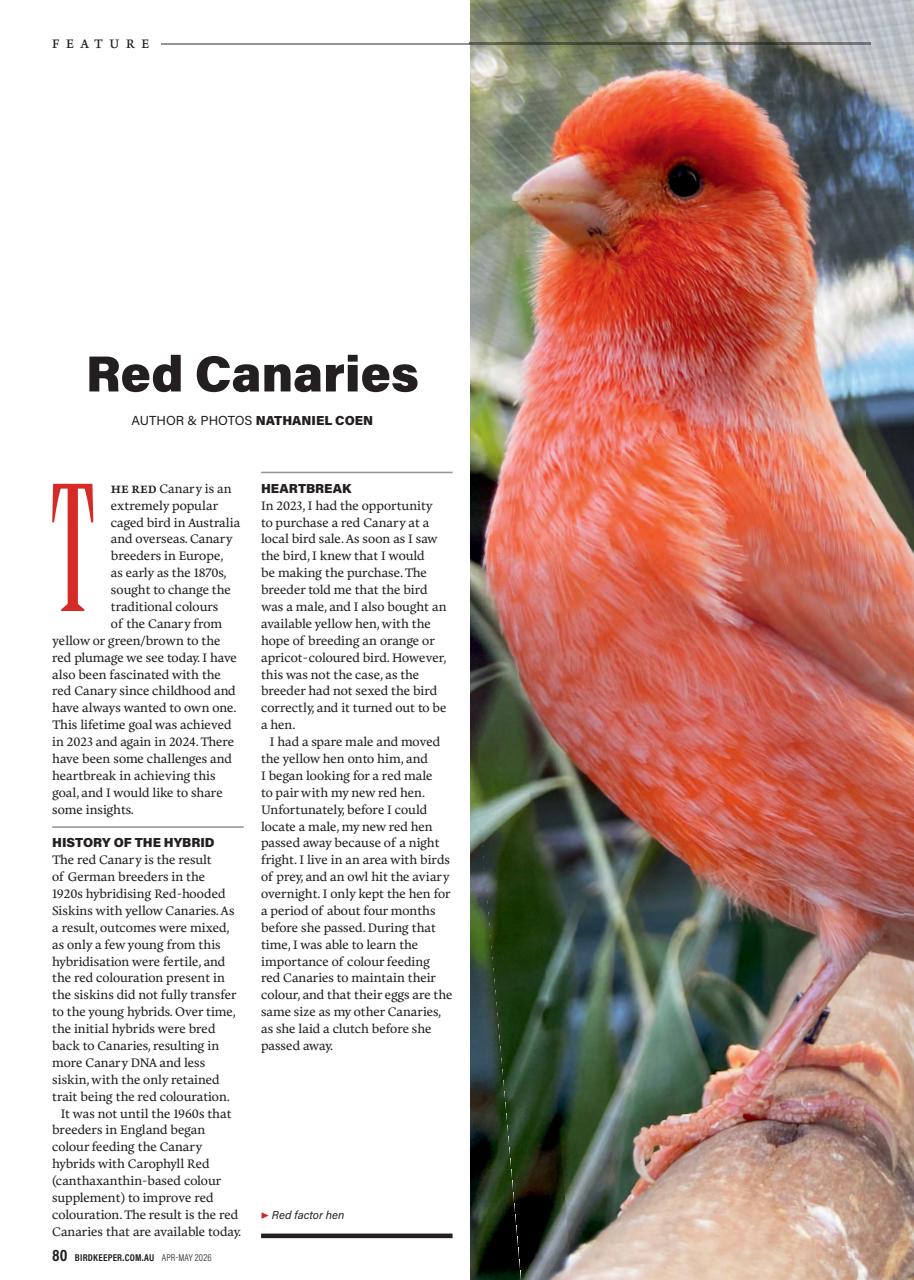 Australian Birdkeeper Magazine Preview Pages