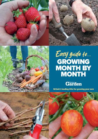 Amateur Gardening issue Easy Guides to #7