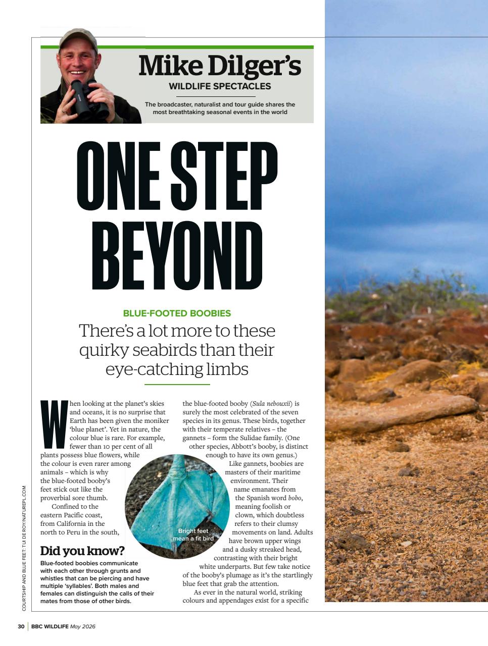 BBC Wildlife Magazine Preview Pages