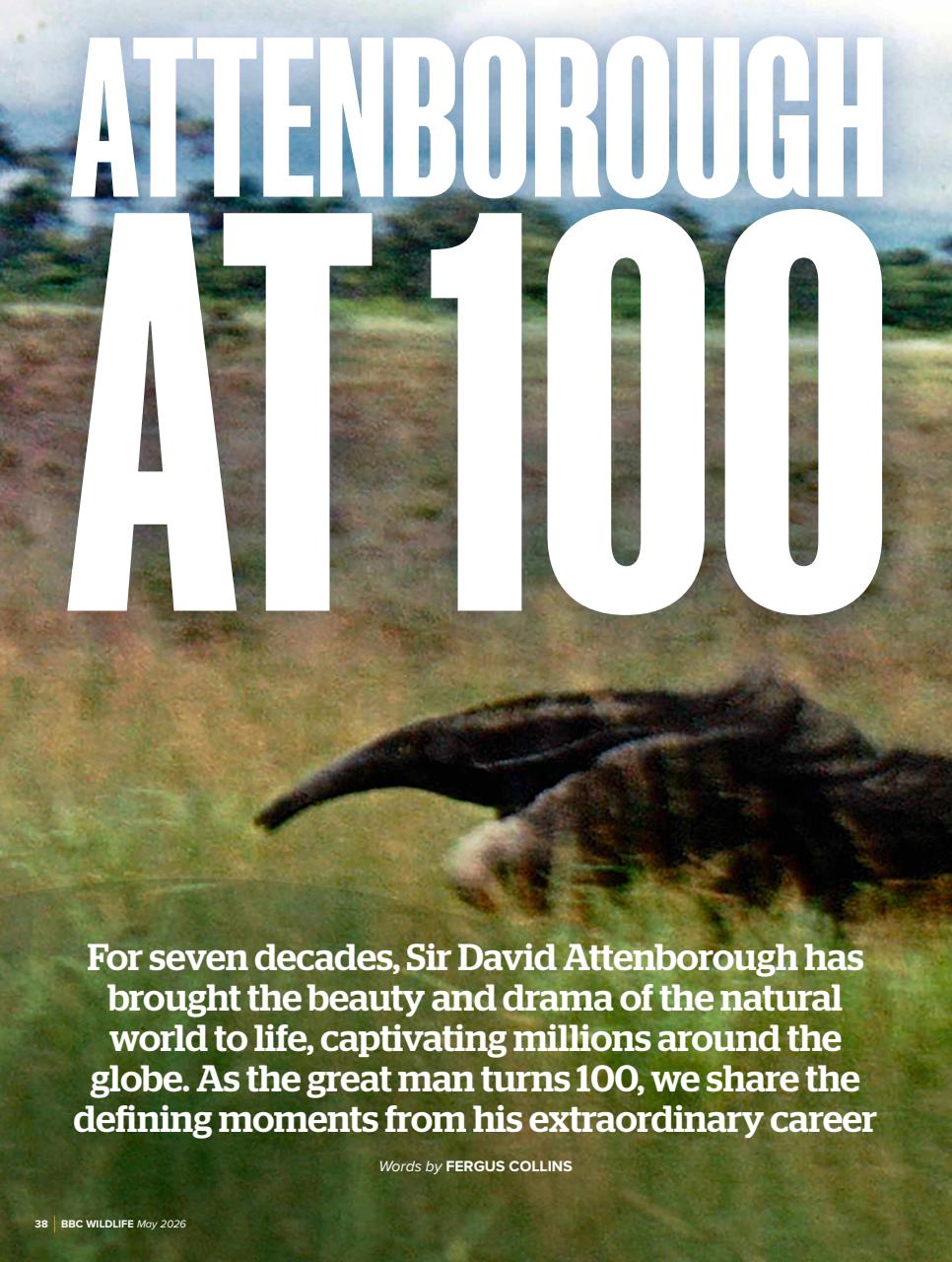 BBC Wildlife Magazine Preview Pages