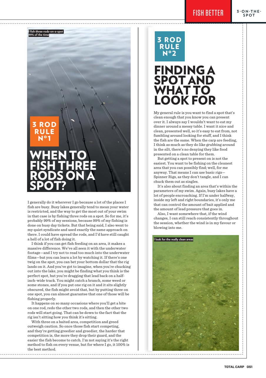 Total Carp Preview Pages