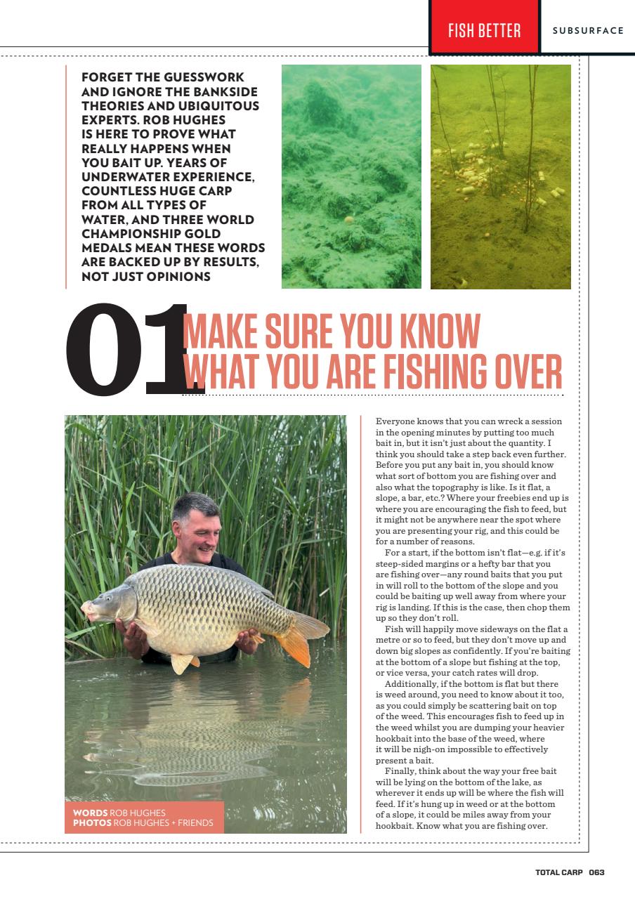 Total Carp Preview Pages