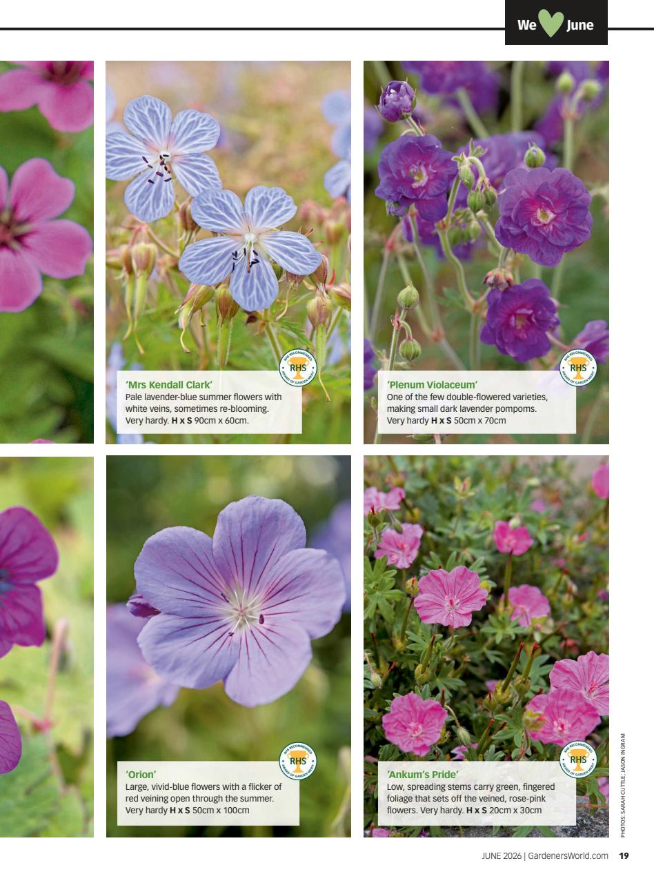 BBC Gardeners’ World Magazine Preview Pages