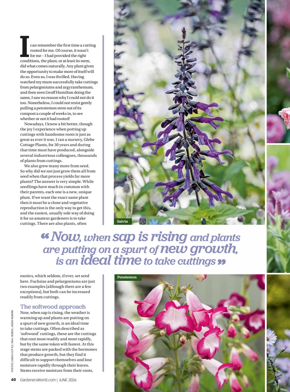 BBC Gardeners’ World Magazine Preview Pages