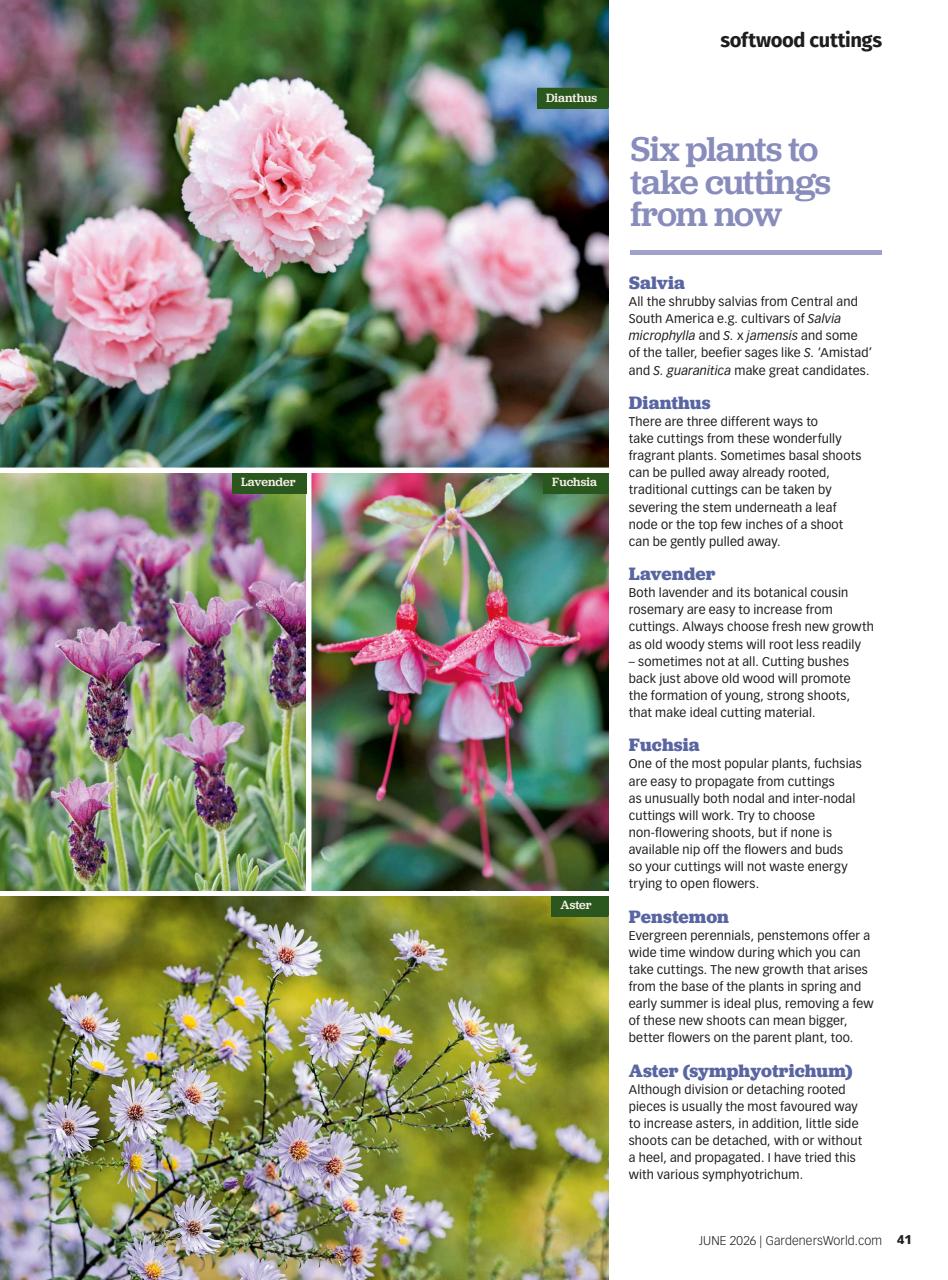 BBC Gardeners’ World Magazine Preview Pages