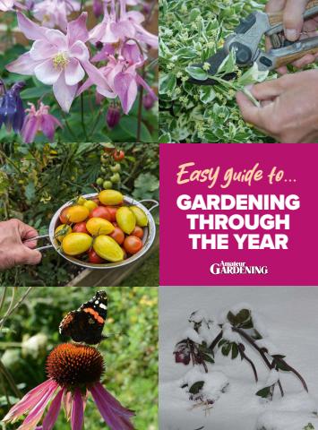 Amateur Gardening issue Easy Guides to #10