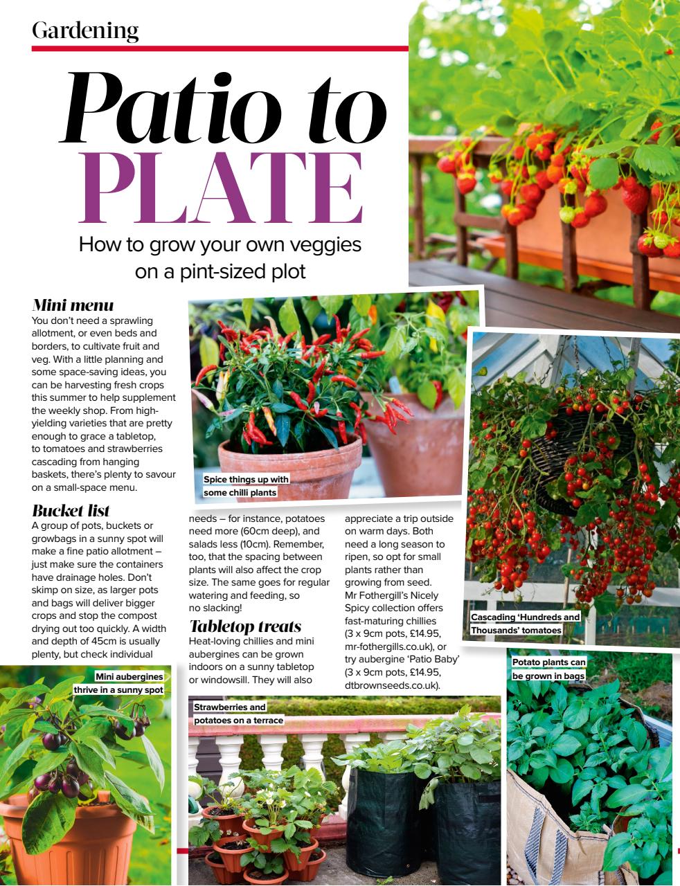 Woman's Weekly Preview Pages