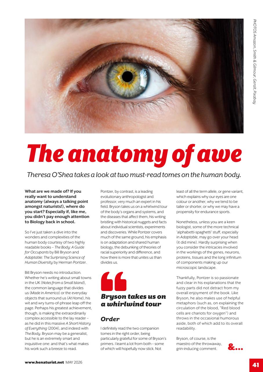 H&E naturist Preview Pages