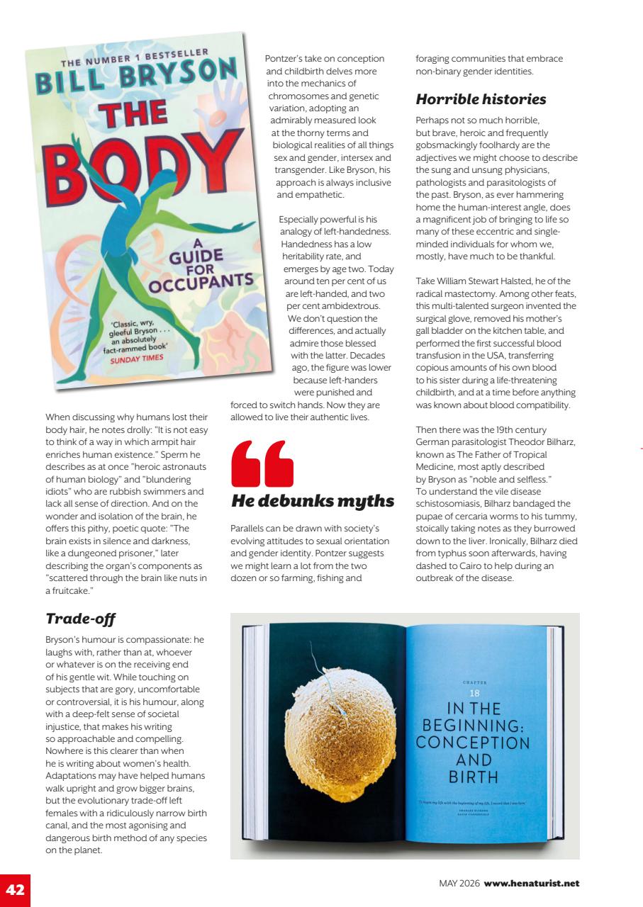 H&E naturist Preview Pages