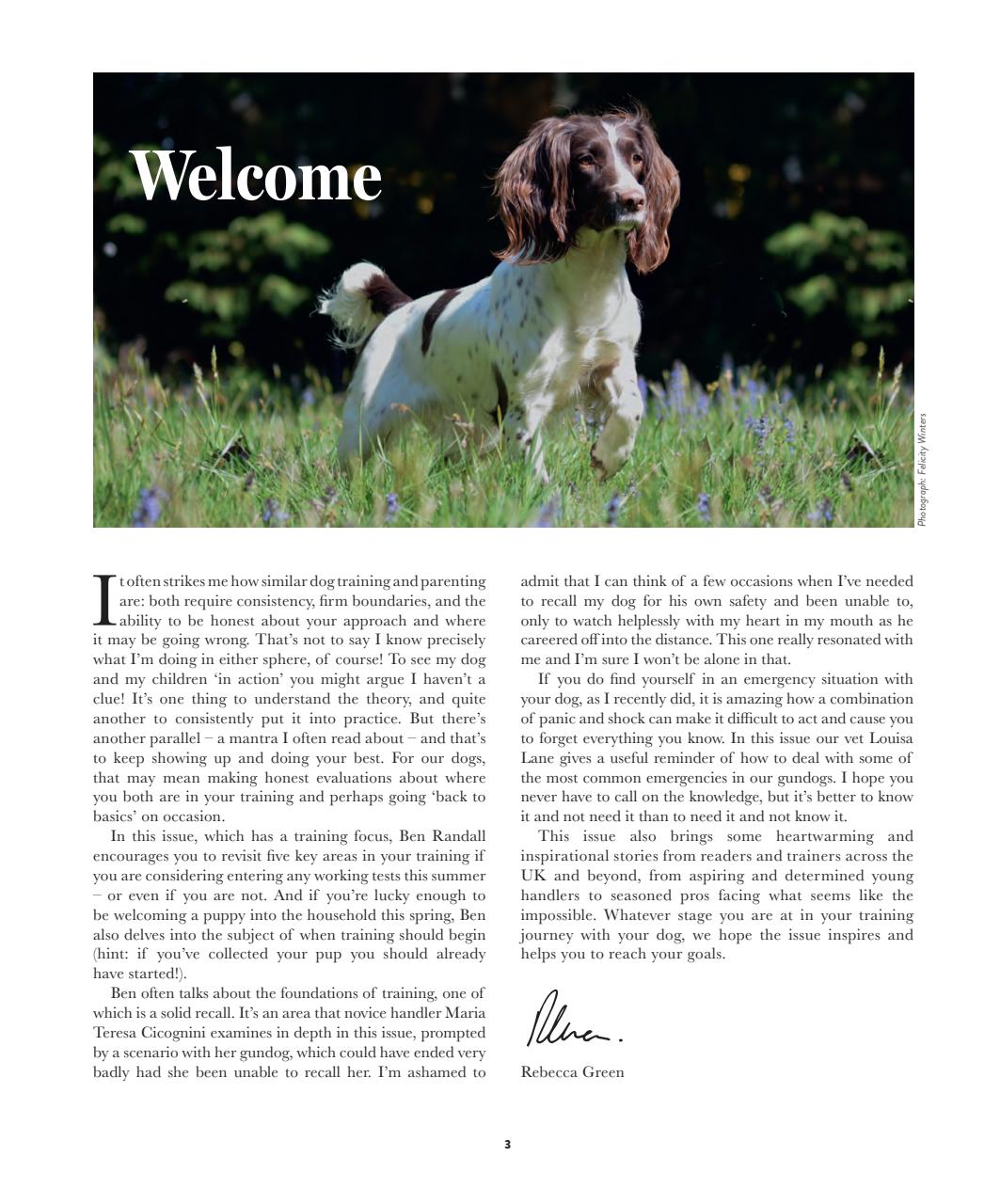 Gundog Journal Preview Pages