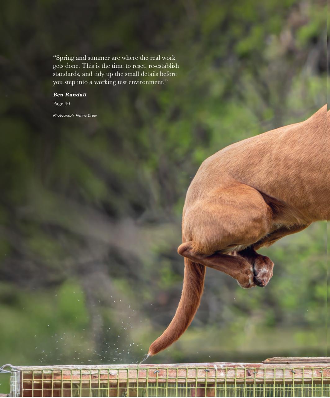 Gundog Journal Preview Pages
