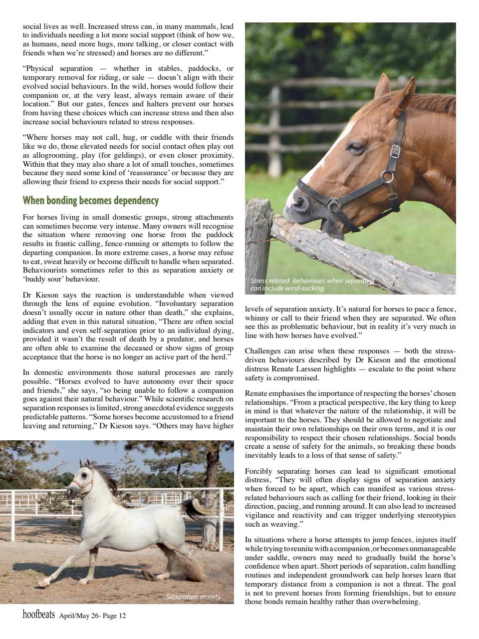 Hoofbeats Preview Pages