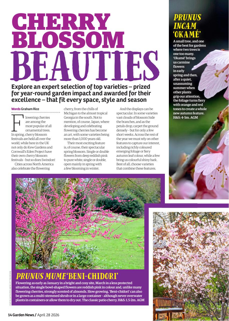Garden News Preview Pages