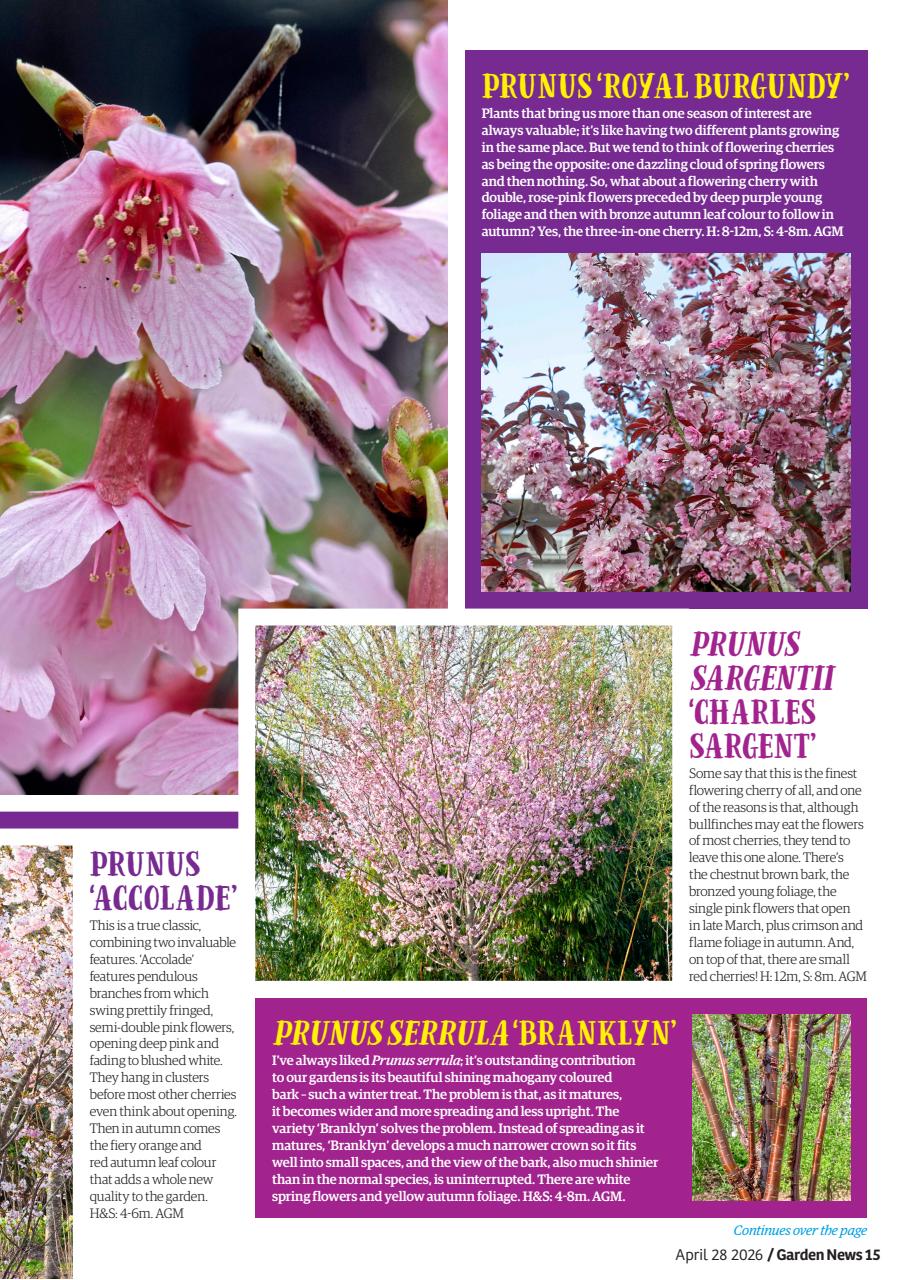 Garden News Preview Pages