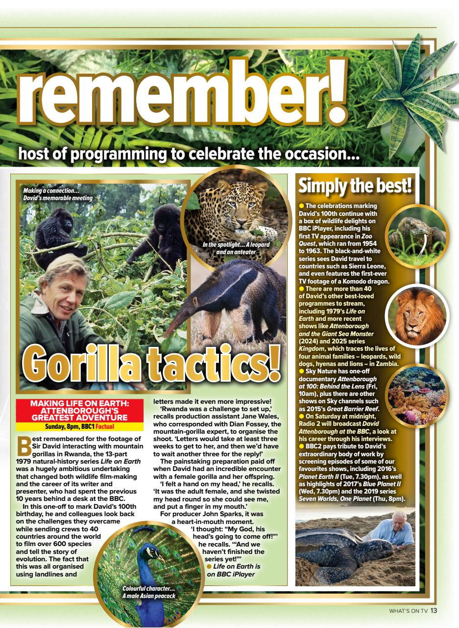 What's on TV Preview Pages