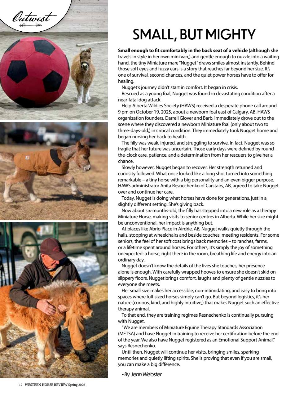 Western Horse Review Preview Pages