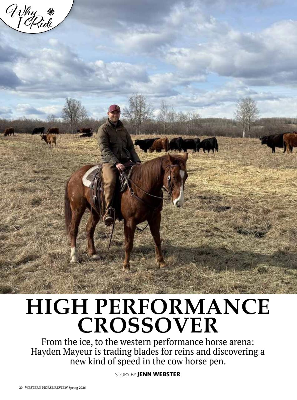 Western Horse Review Preview Pages