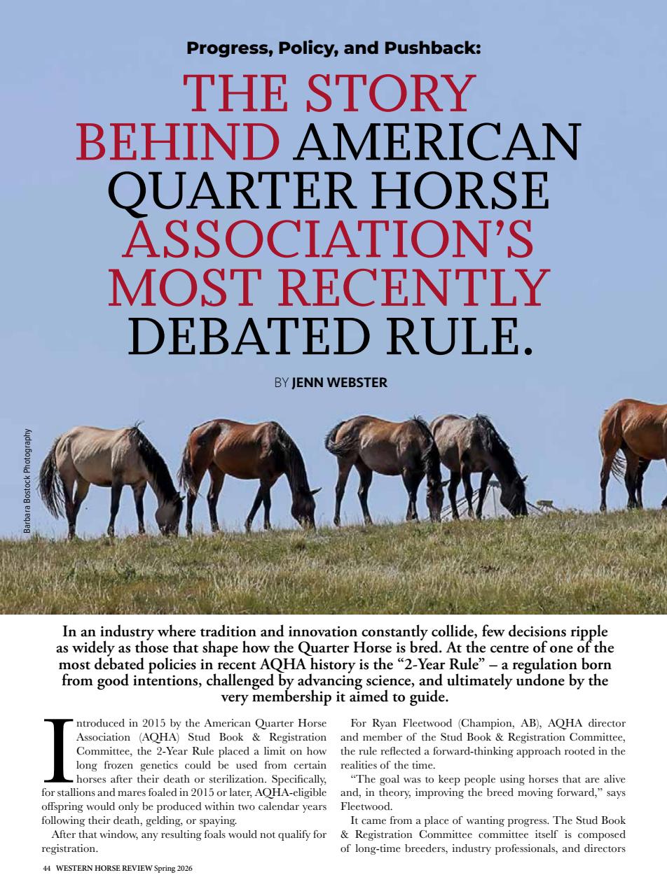 Western Horse Review Preview Pages