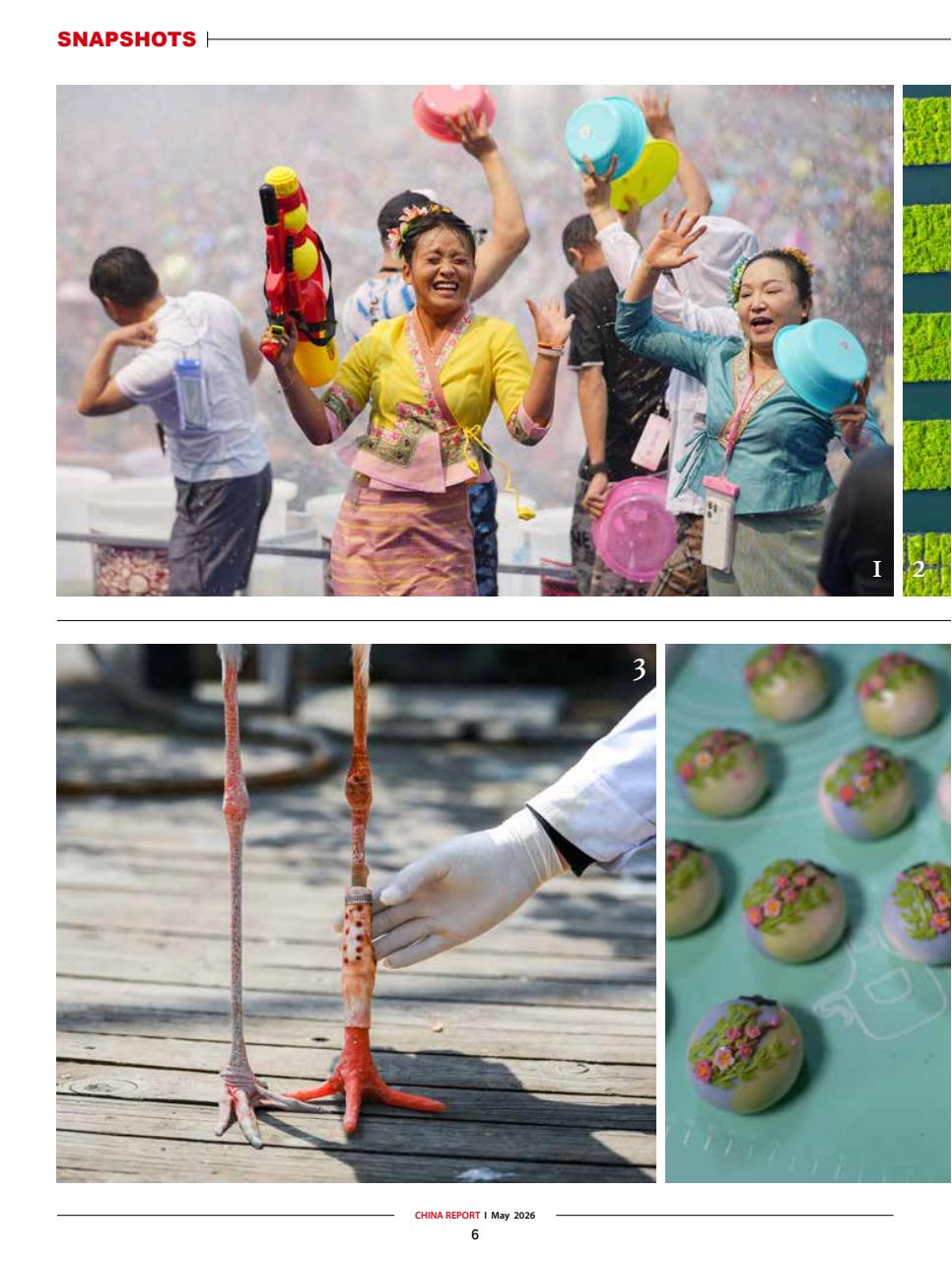 China Report Preview Pages