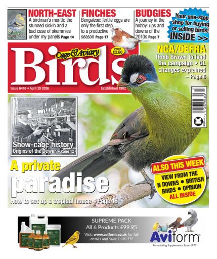 Cage & Aviary Birds issue 