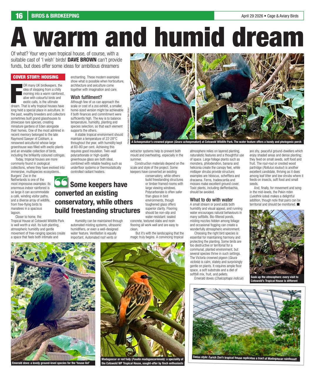 Cage & Aviary Birds Preview Pages