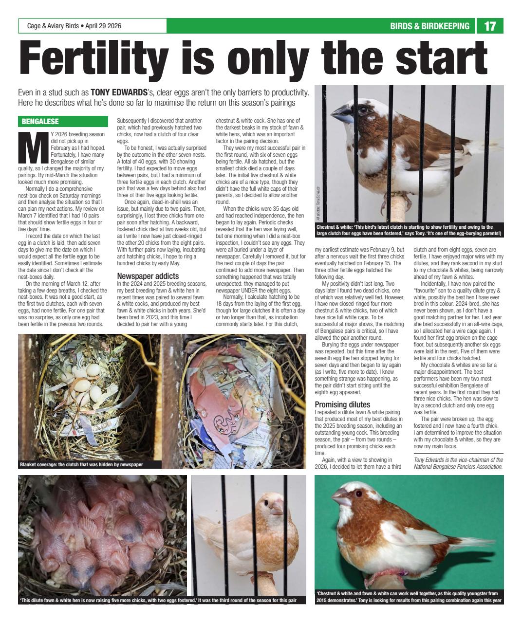 Cage & Aviary Birds Preview Pages