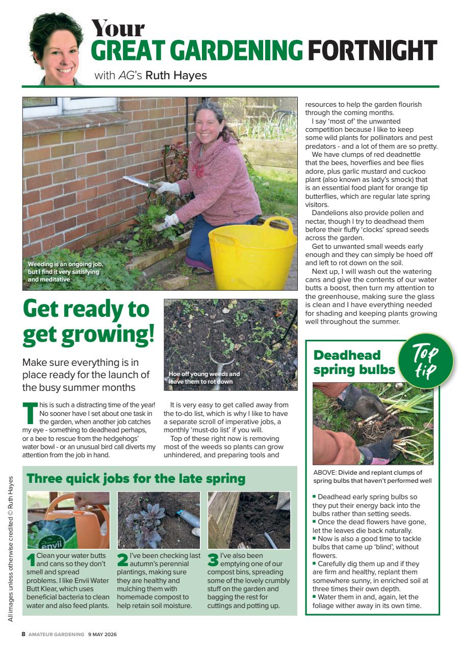 Amateur Gardening Preview Pages