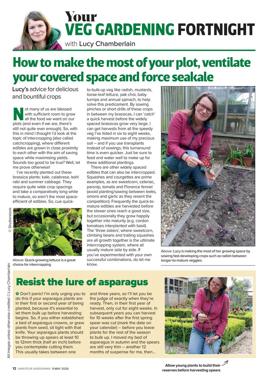 Amateur Gardening Preview Pages